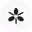 Asana Dash